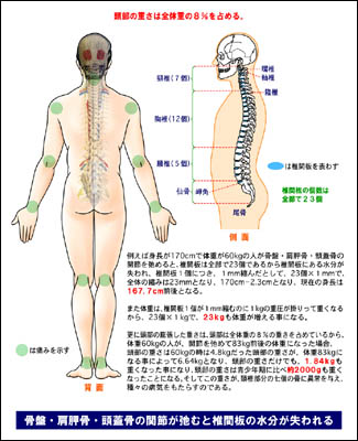 身長 が 縮む 方法